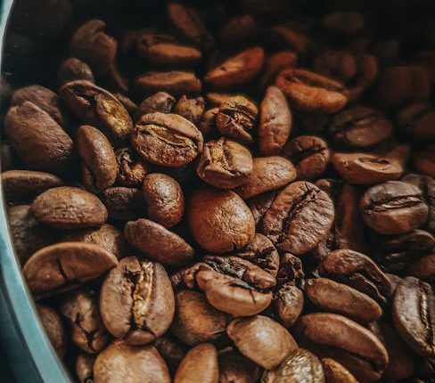 cs go vac ban error solution